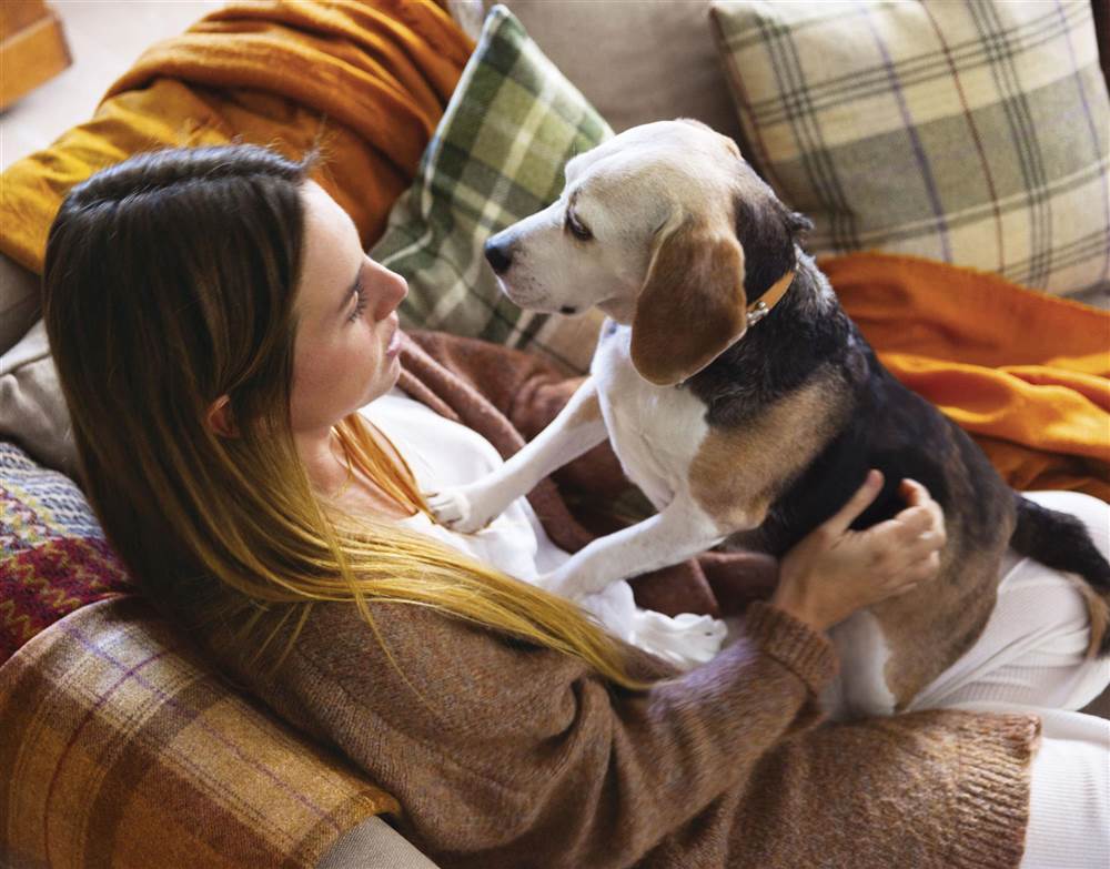 Chica con perro en sofá con mantas