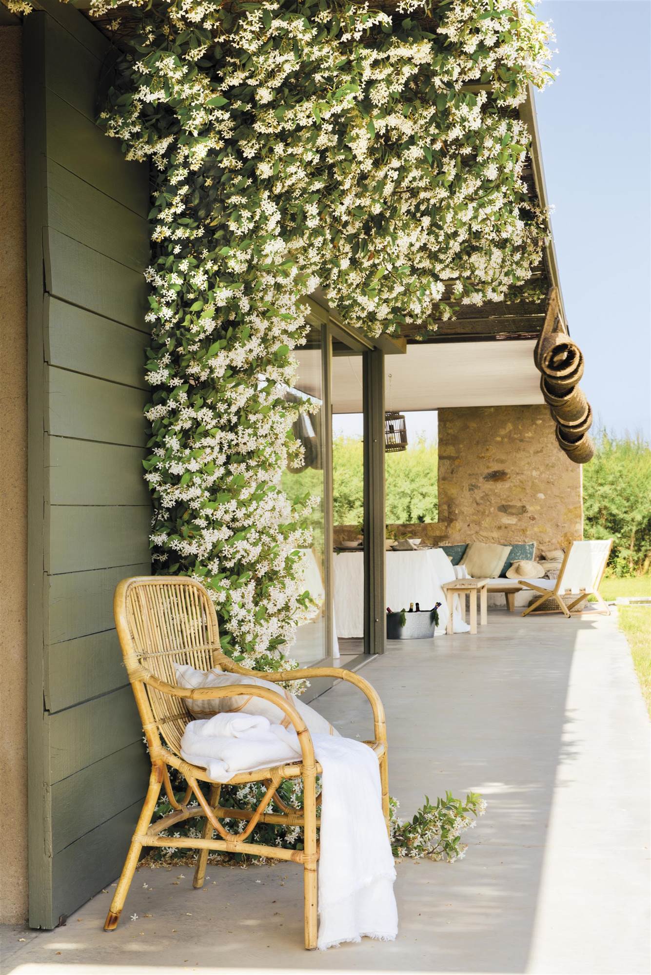 Plantas trepadoras y enredaderas: un porche con una planta trepadora de jazmín blanco