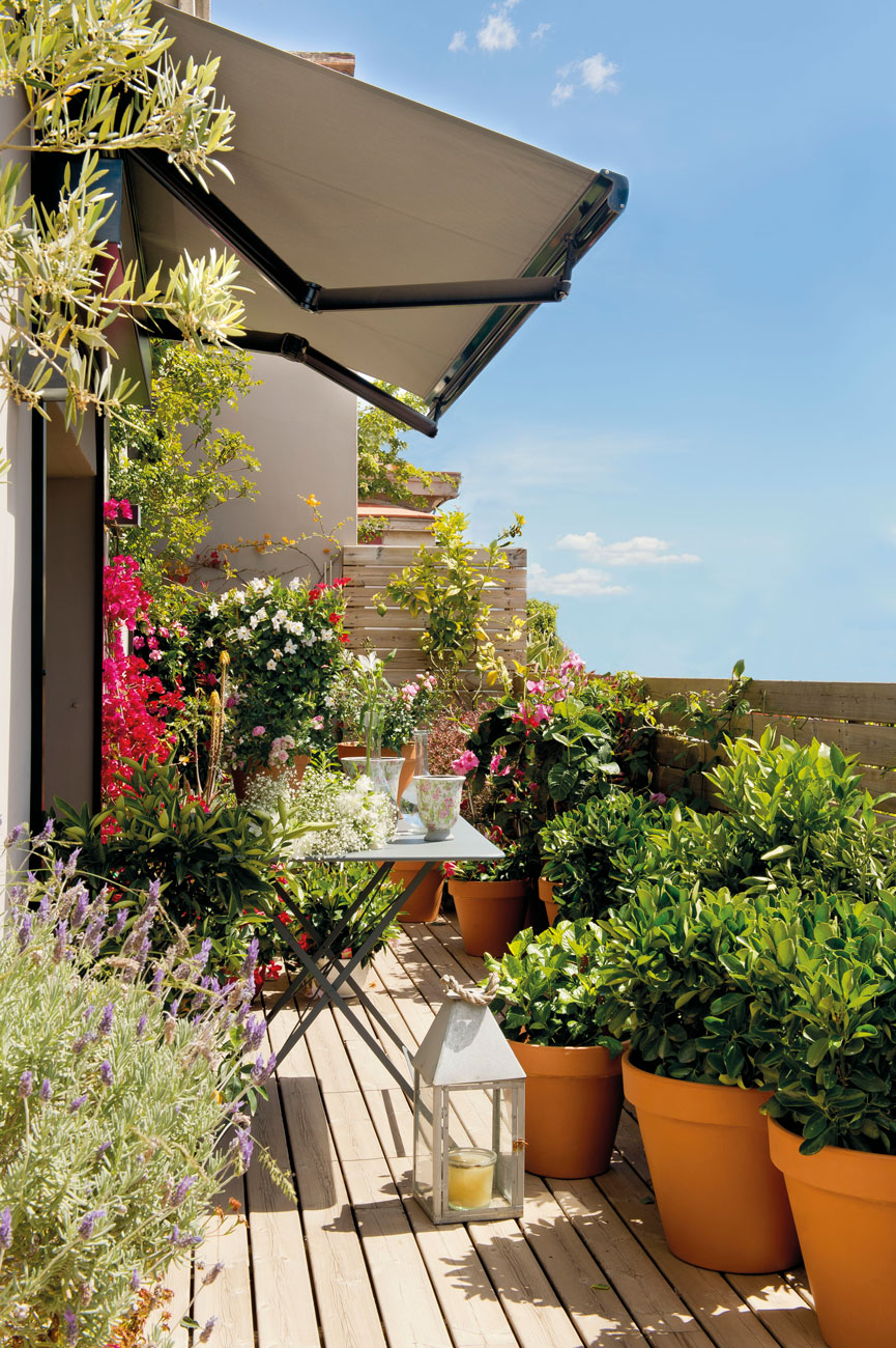 terraza-con-tarima-de-madera-decorada-con-plantas 365770