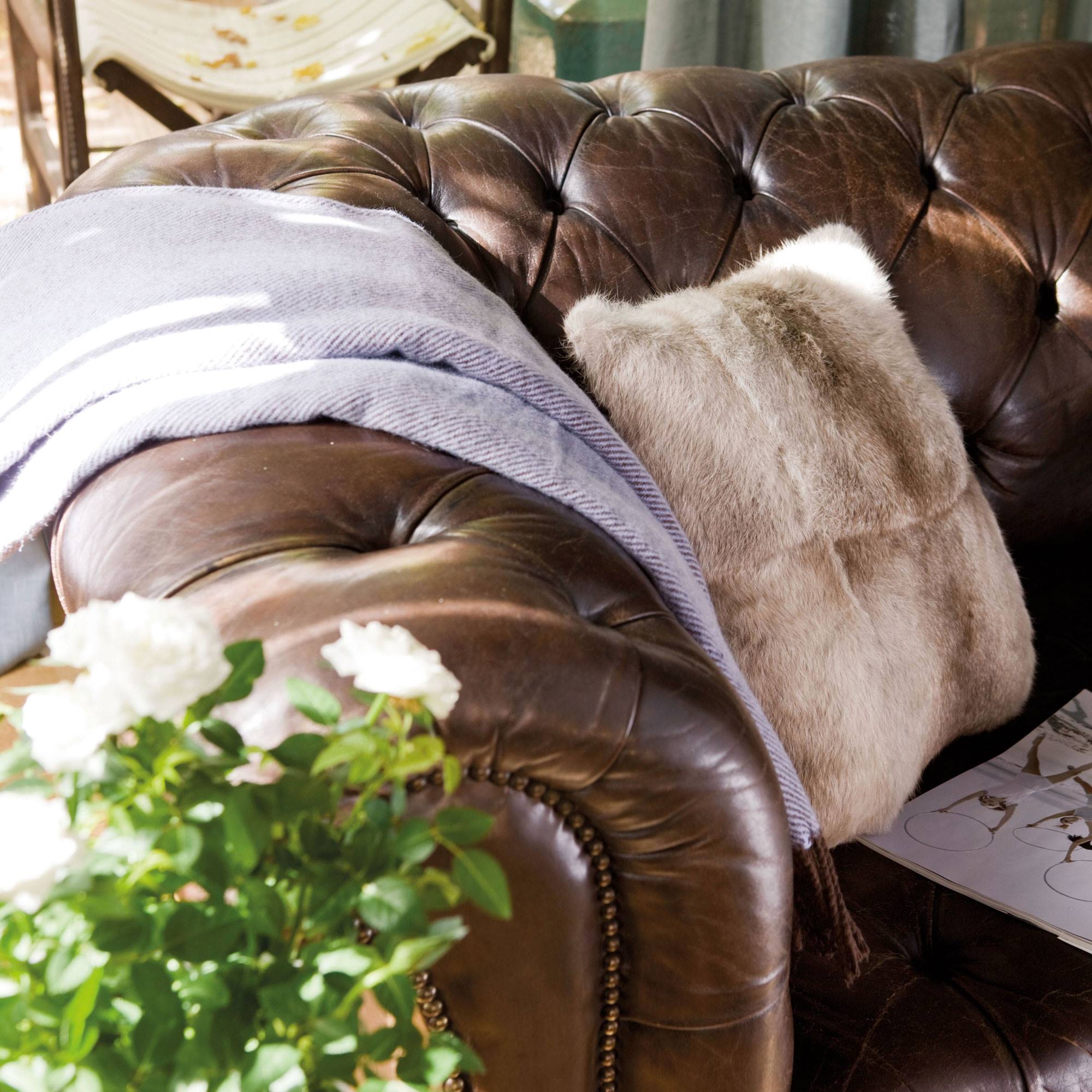kloon genade Spectaculair Cuánto cuesta tapizar una silla, un sofá, un cabecero y otros muebles