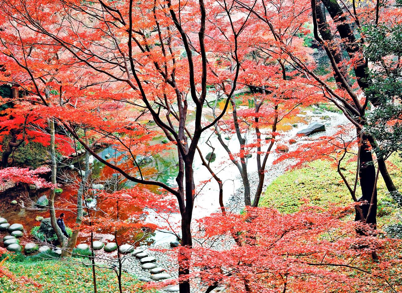 otoño en el bosque de colores claros Igel mantel