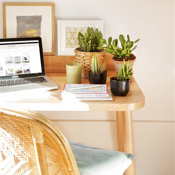 Escritorio de madera con cuadros, silla de fibra, cactus con macetas de diferentes tamaños, vela y ordenador portátil