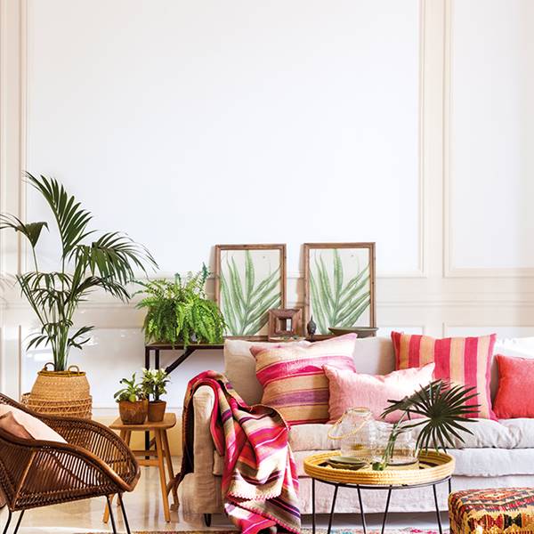 Salón con cojines a rayas en colores rosa y rojo, plantas, cuadros de plantas, alfombra de colores, fibras y estilo de decoración étnico