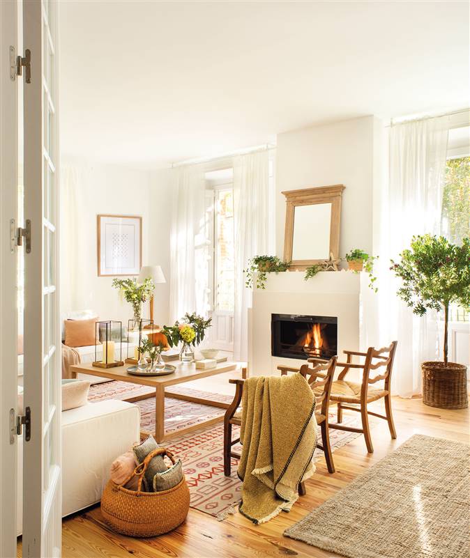 Salón en blanco con chimenea y plantas