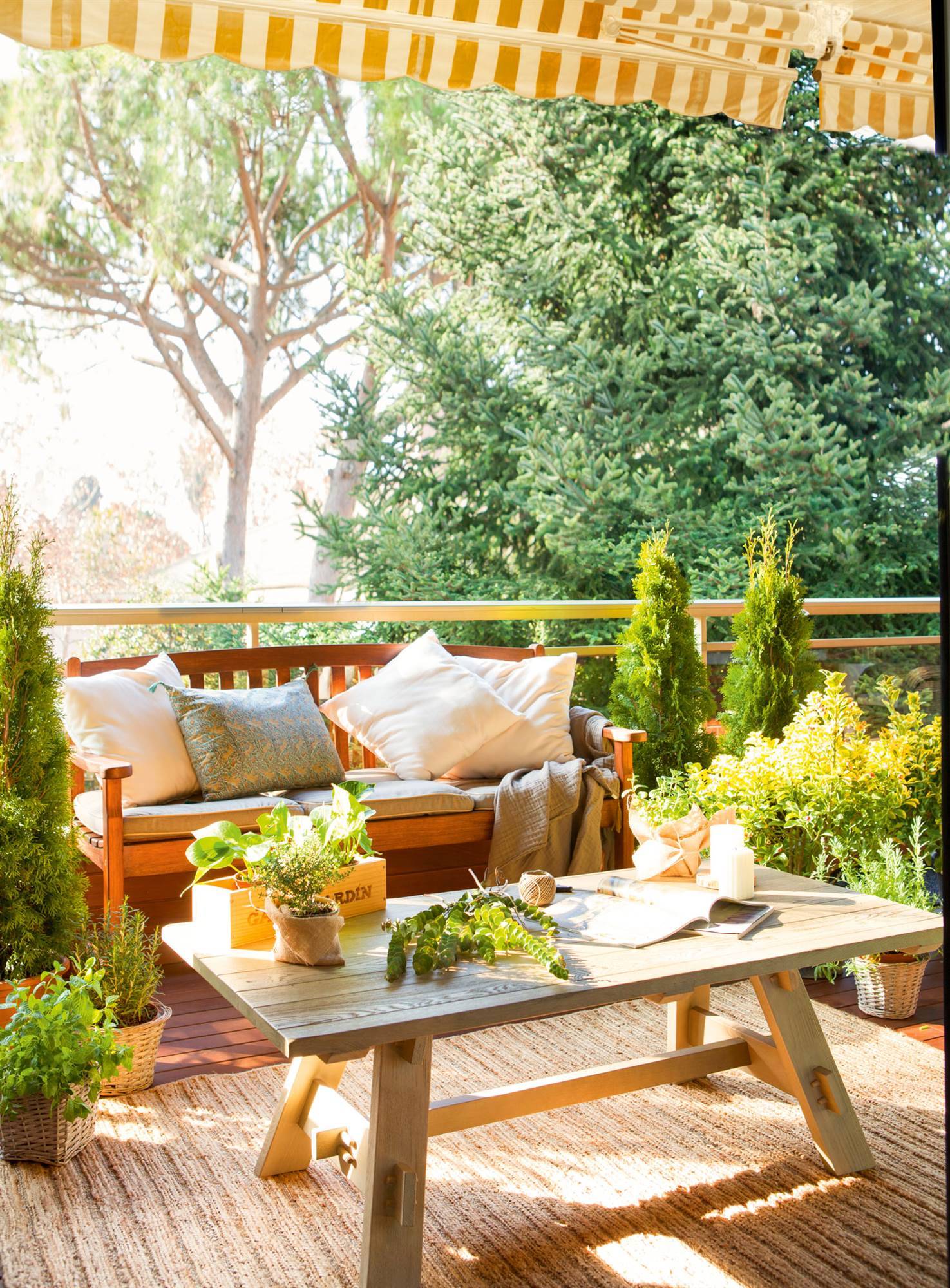 00423727 Arbustos para tu terraza: perfectos para tener un aspecto frondoso