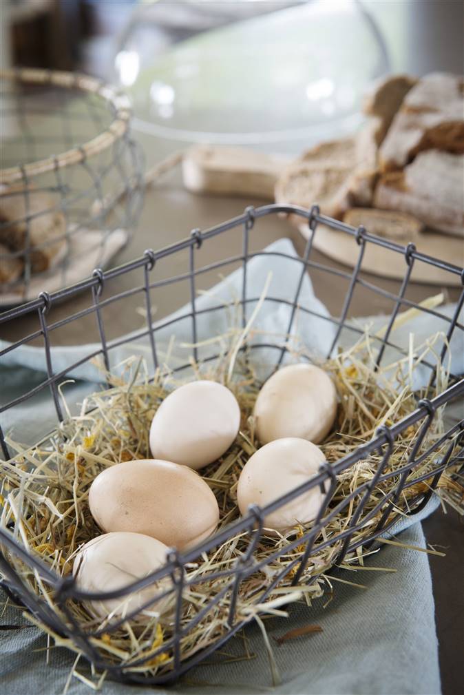 Pavimentación Reorganizar Estimado Cómo saber si los huevos son de calidad
