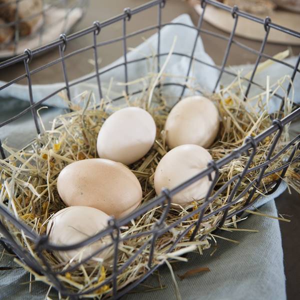 Huevos en cesta de metal