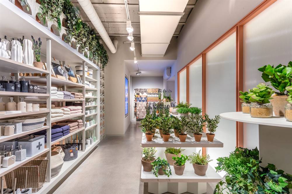 Nueva tienda de decoración Kave Home en Madrid barrio de Salamanca plantas