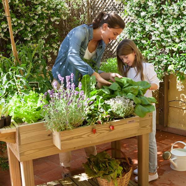 Plantas para niños fáciles de cuidar