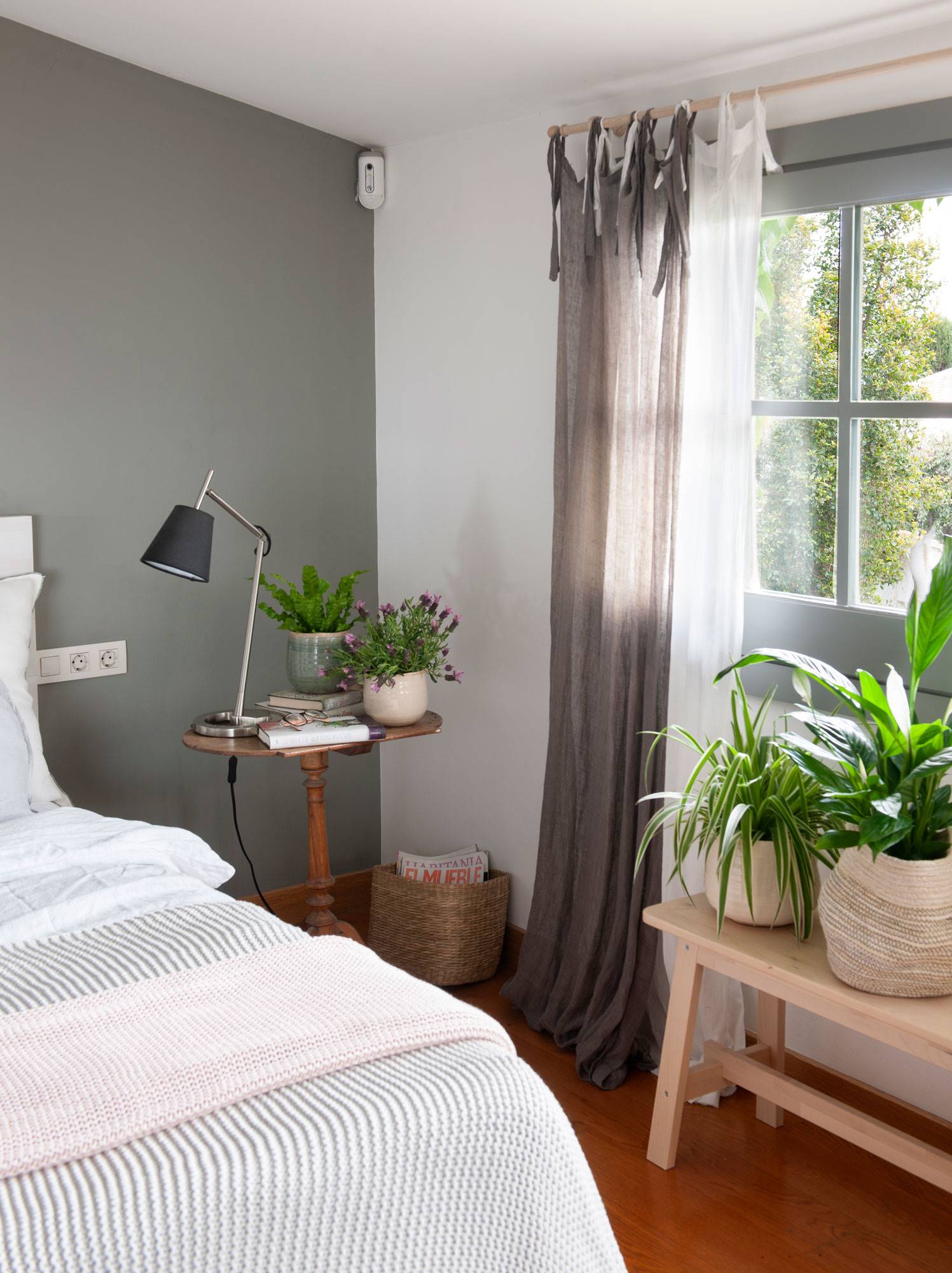 dormitorio-decorado-con-plantas-y-pared-gris-00506948 O
