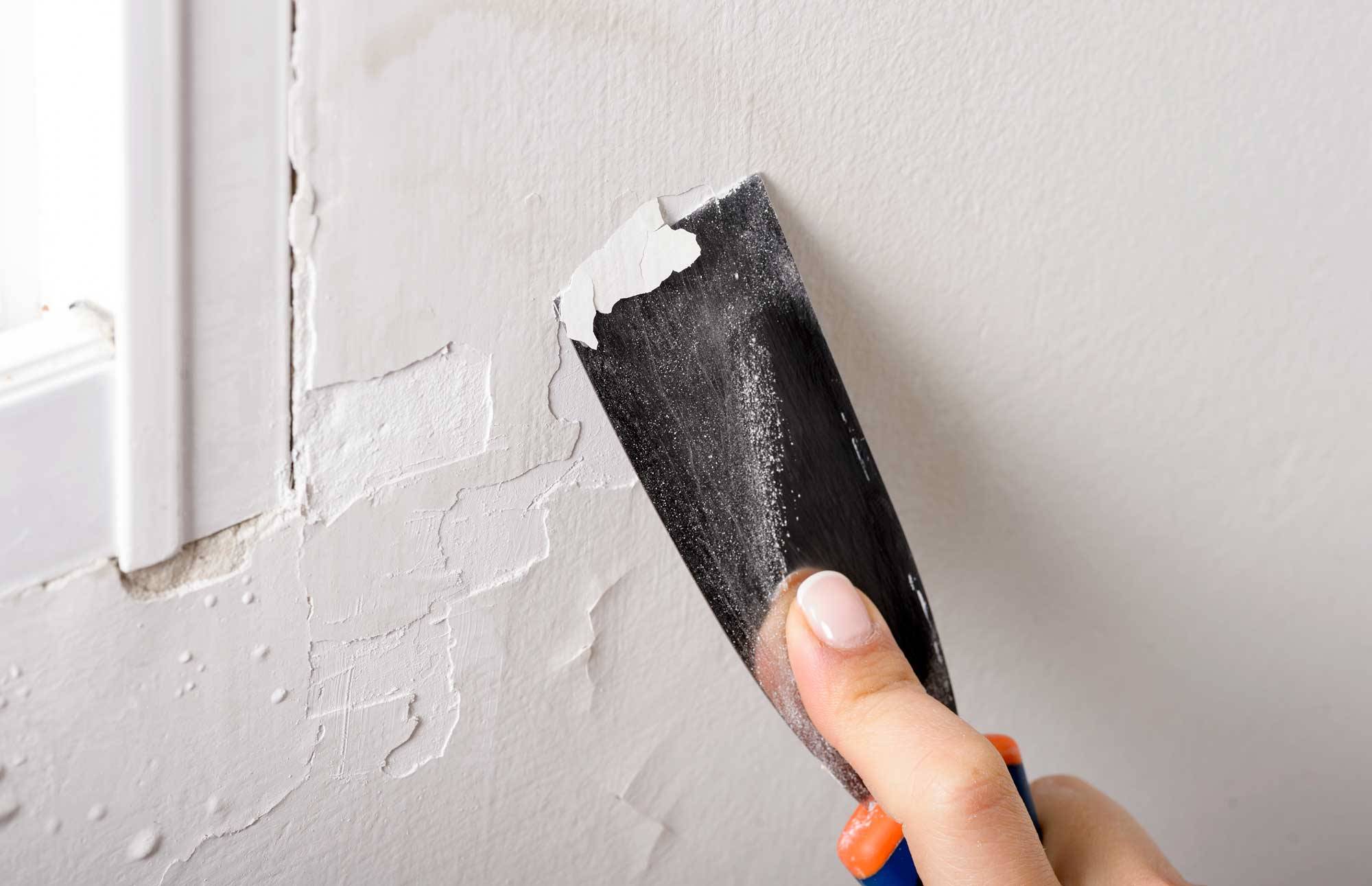Cómo pintar una pared paso a paso de manera fácil