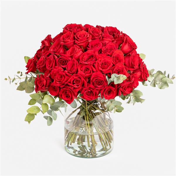 Ramo de 40 rosas rojas de Calvin para San Valentín