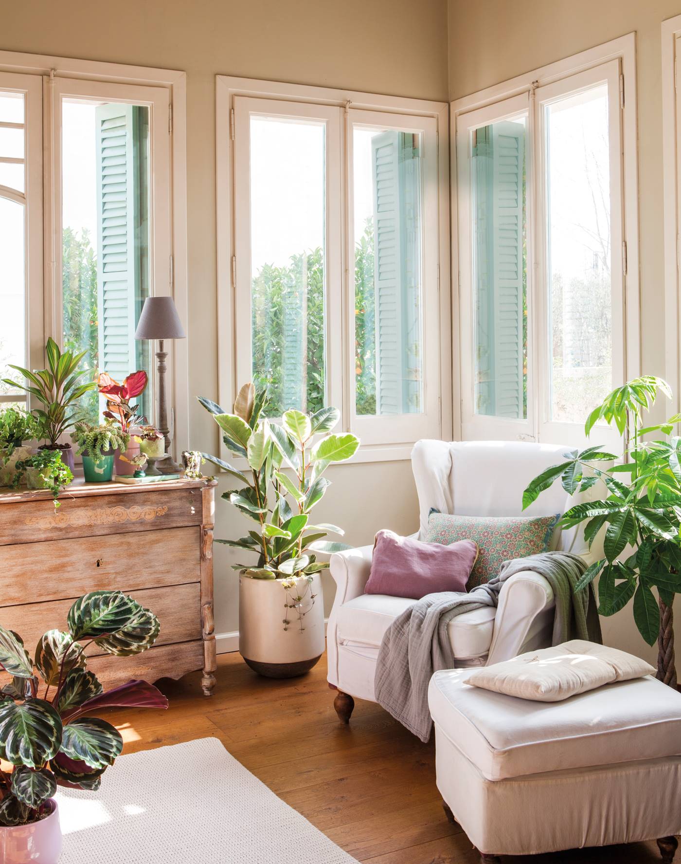 Rincón de lectura con butaca, plantas, comoda y ventanas en esquina