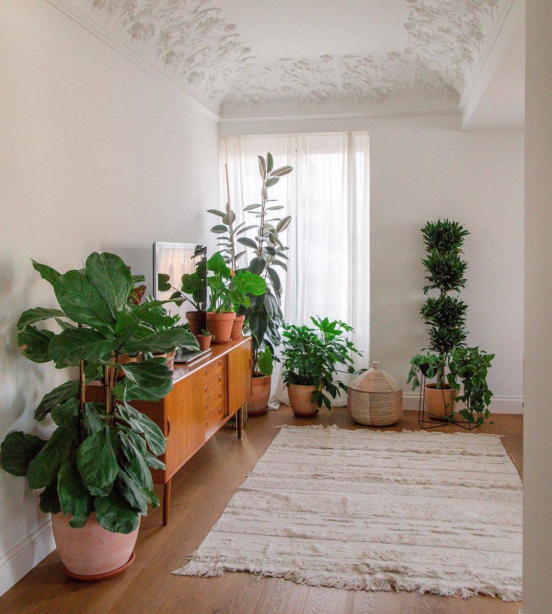 diferente a fondo considerado Inspírate decorando con plantas de interior como las instagramers