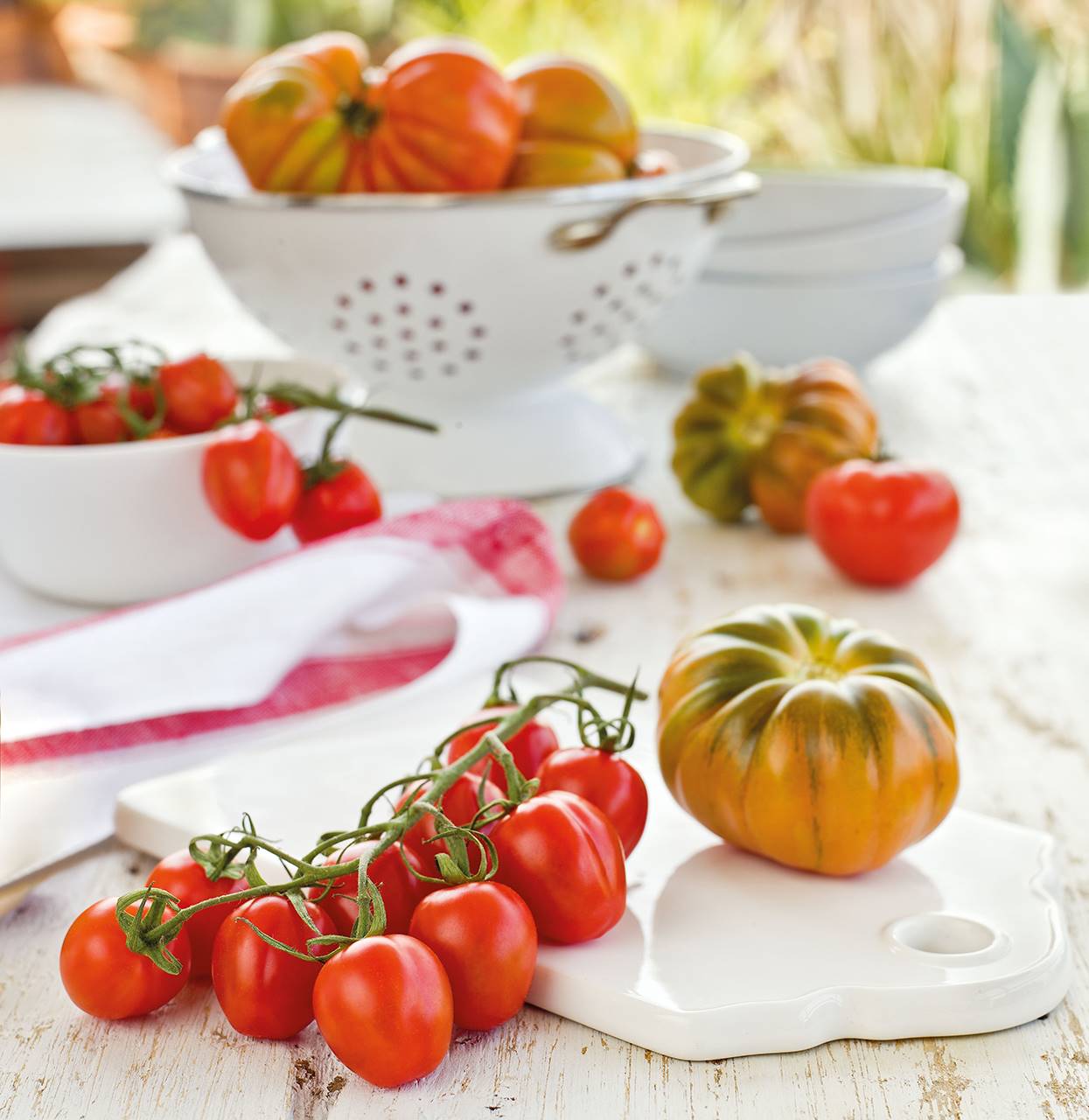 Detalle de tomates