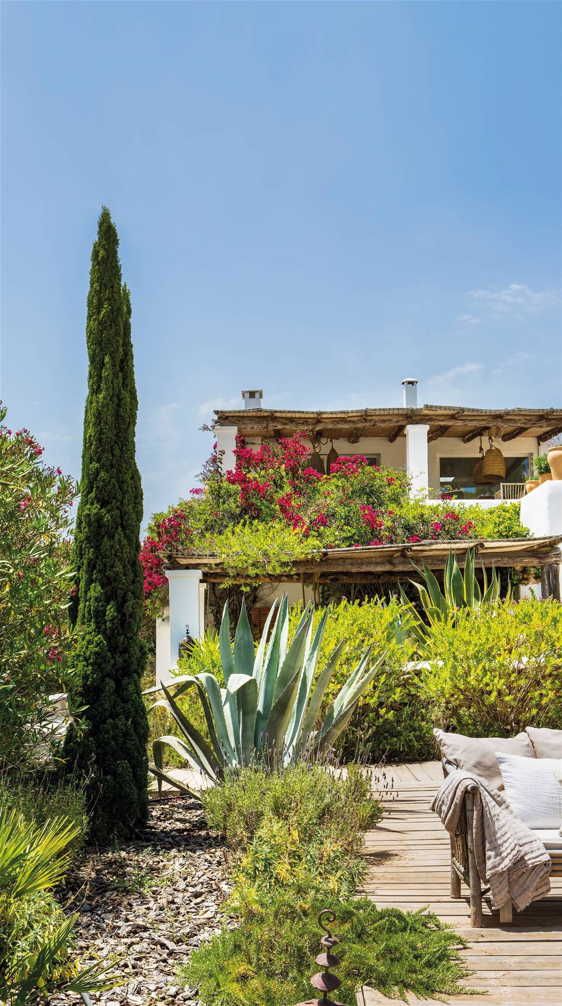 jardin con cactus cipres y buganvillas sobre el porche 00508666
