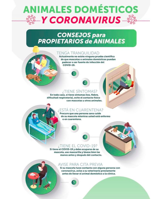 Consejos OCV coronavirus