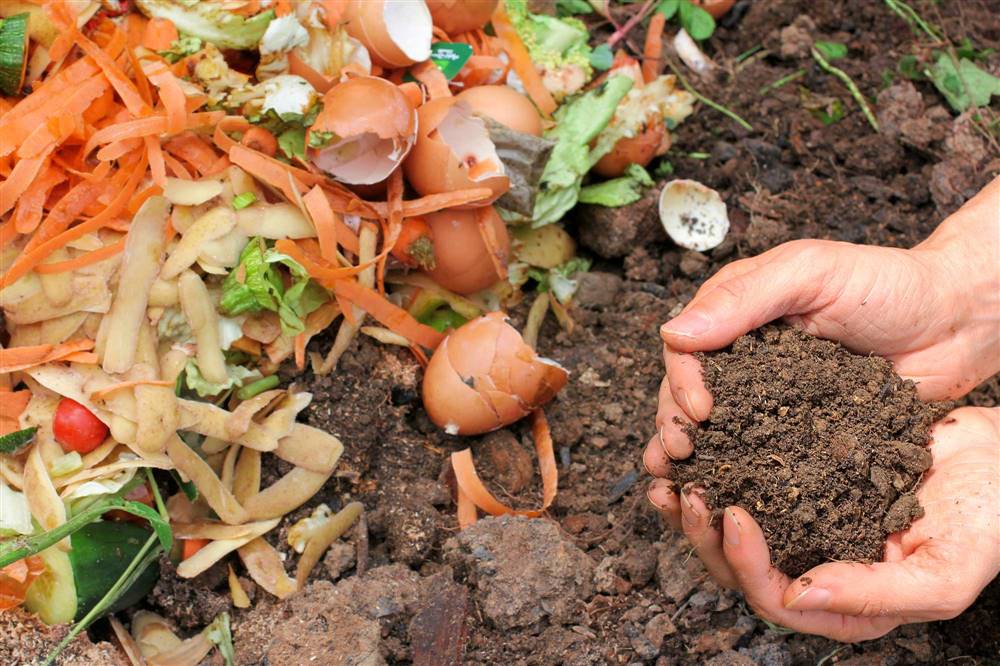 como-hacer-compost-restos-organicos