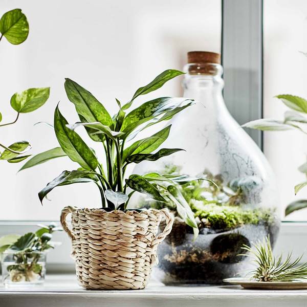 Nueva colección de Ikea hecha a mano para crear tu jardín interior