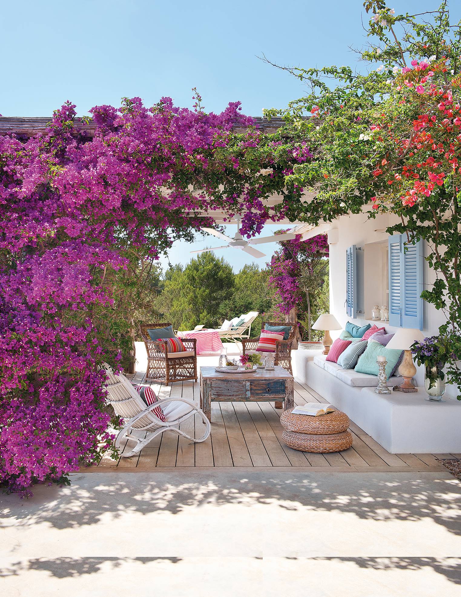 Pergola with bougainvillea in bloom and facade of the house in white.