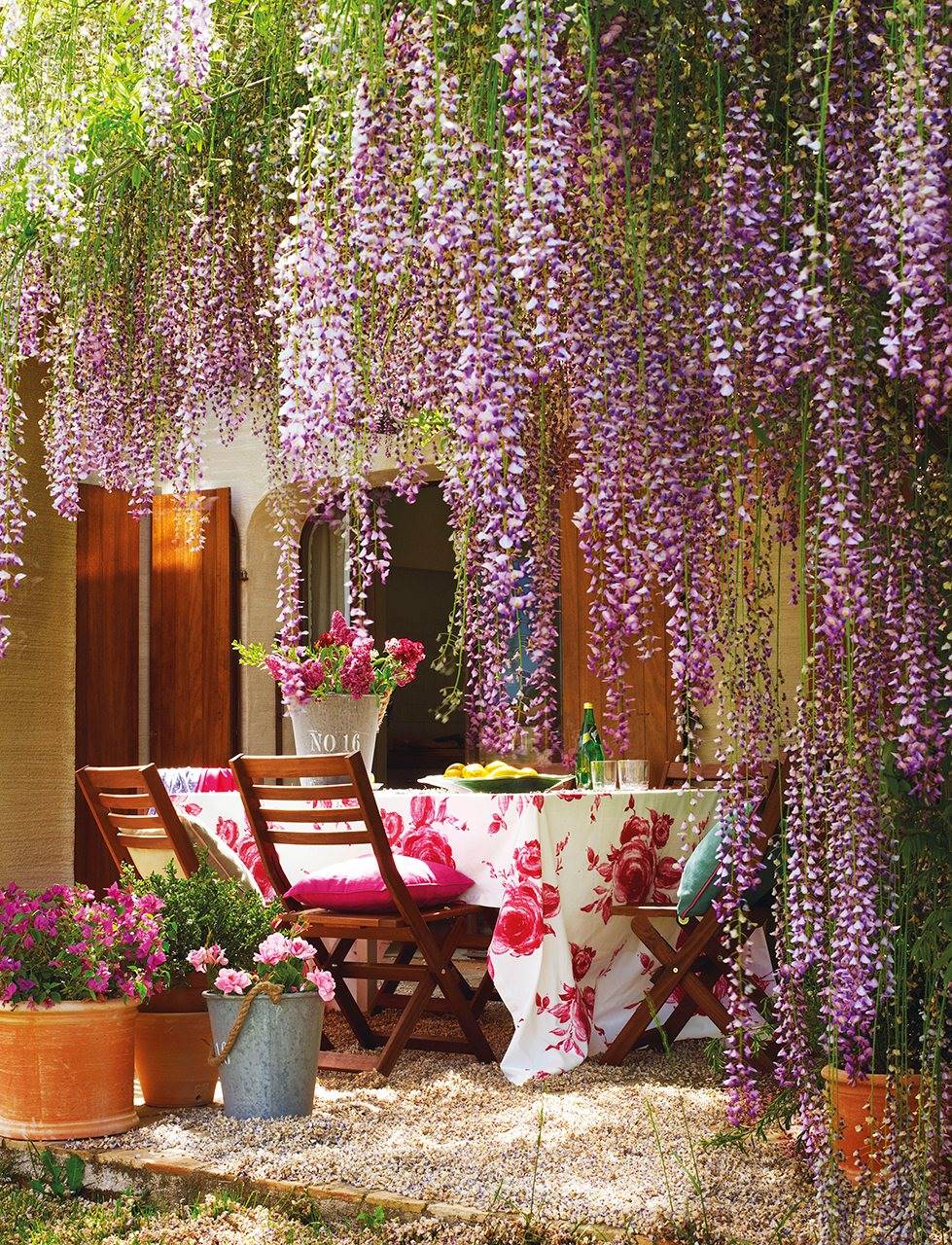 Porch under the wisteria with tables and chairs.