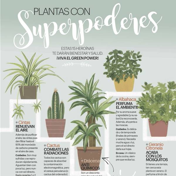 Descárgate la guía "plantas con superpoderes": especial suscriptoras