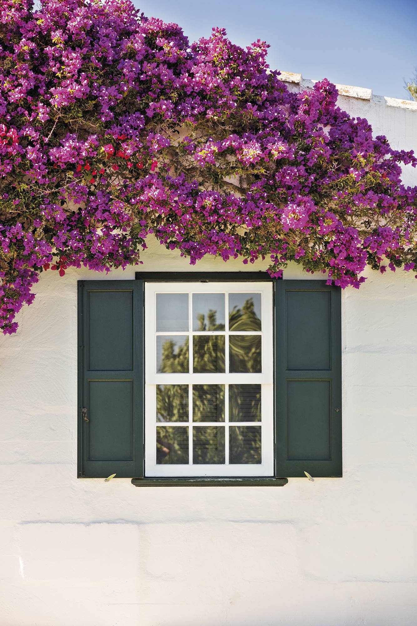 Exterior de casa con paredes encaladas y porticones verdes_00487029