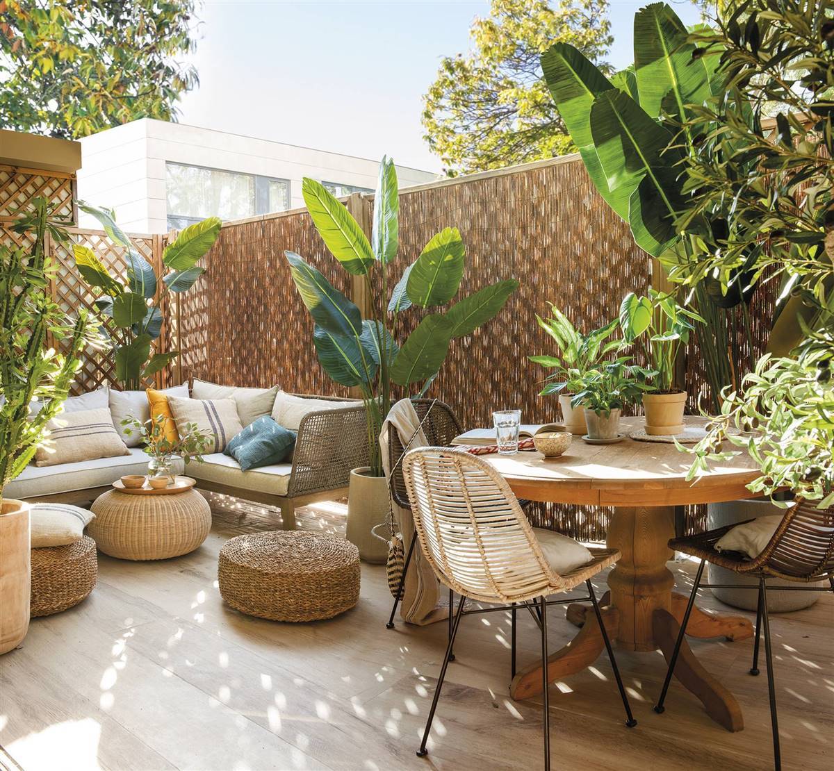 terraza con sofá y butaca y plantas
