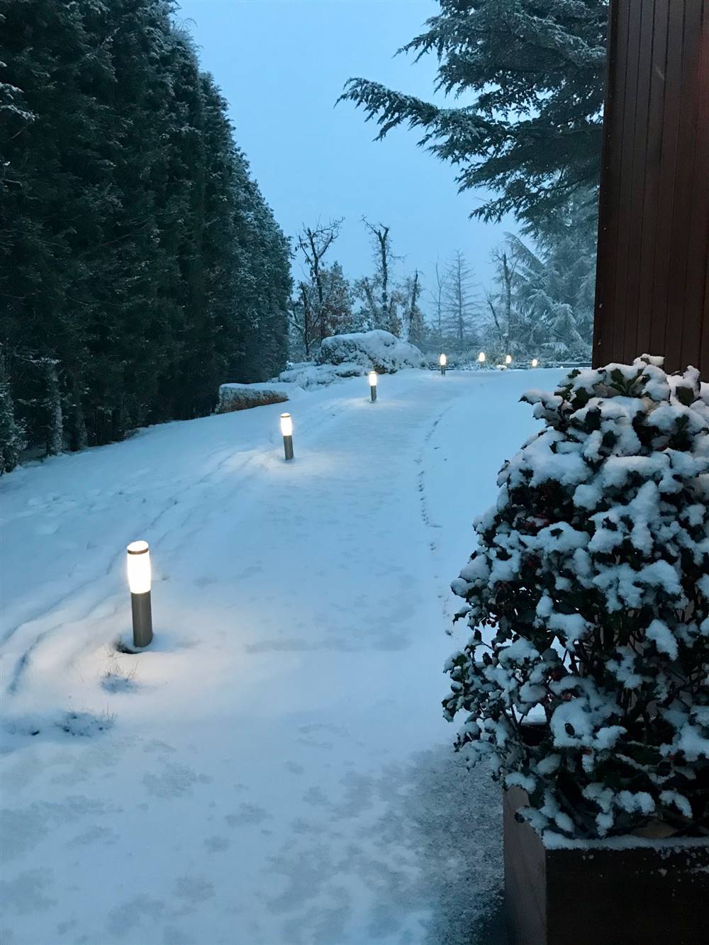 camino nieve casa Nati Leal