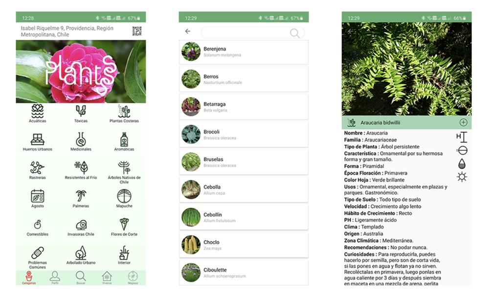En detalle físico ancla Las mejores apps para cuidar plantas