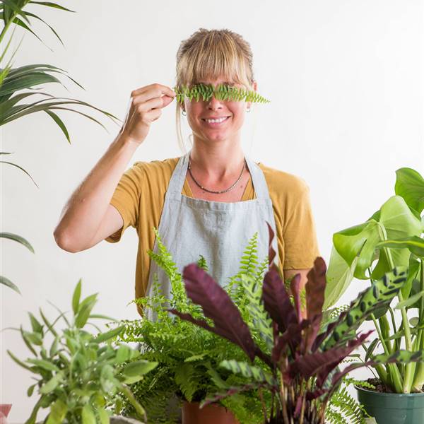 MANÍAS de los adictos de las plantas con las que seguro te sientes identificado