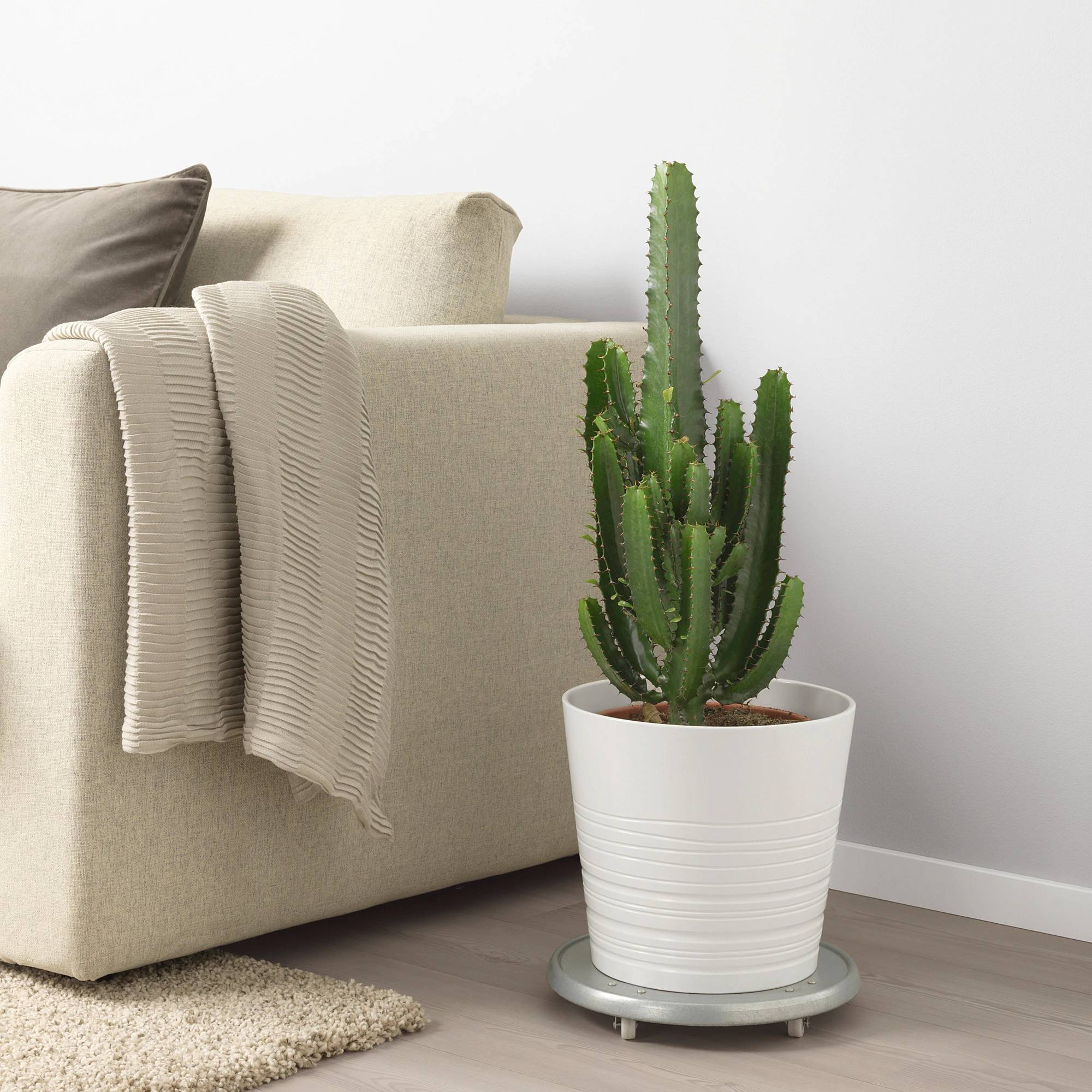 Cactus grande de IKEA