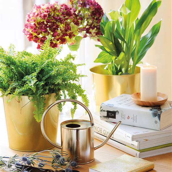 Macetas de interior súper decorativas que elevarán el estilo de tus plantas (con shopping)