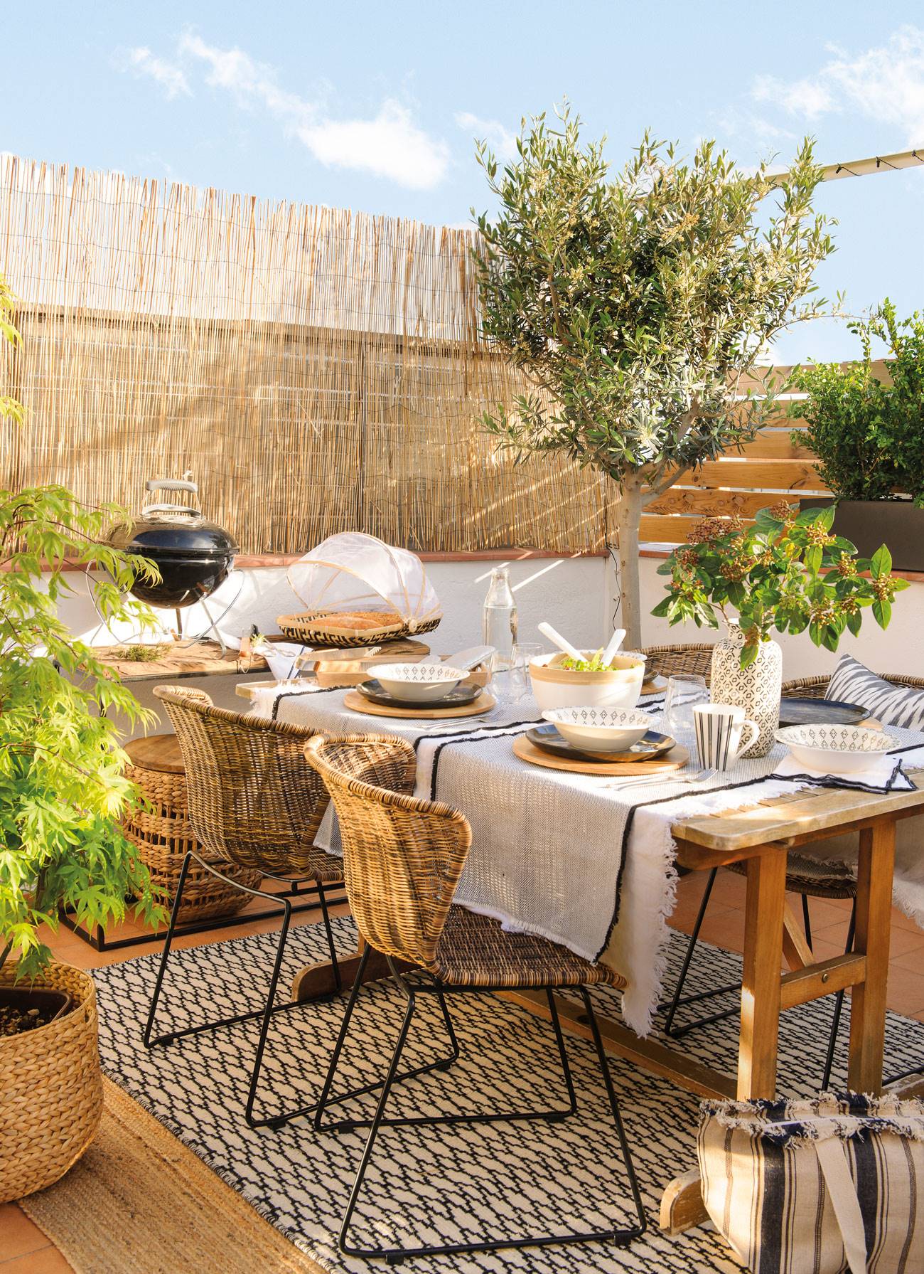 Comedor exterior con mesa de madera, sillas de fibras, plantas y un árbol de olivo 00458334