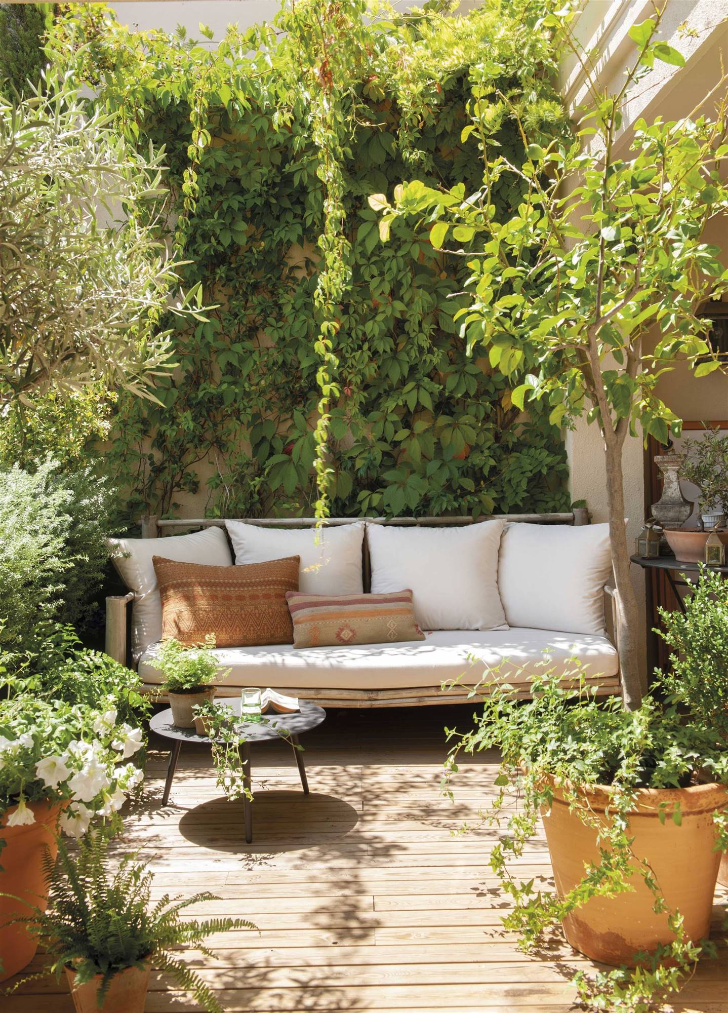 Terraza con un sofá blanco y muchas plantas 00528400