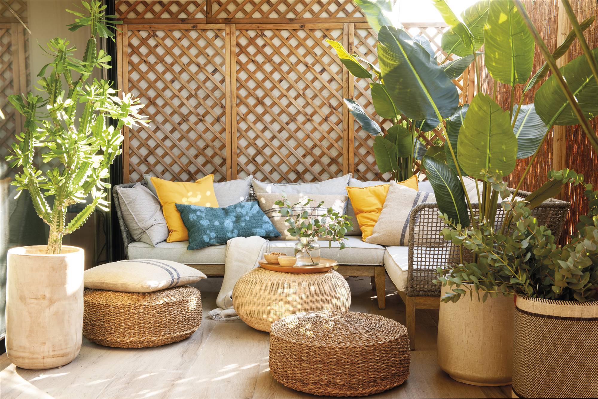 Terraza cuadrada con muebles de fibras y plantas 00521364