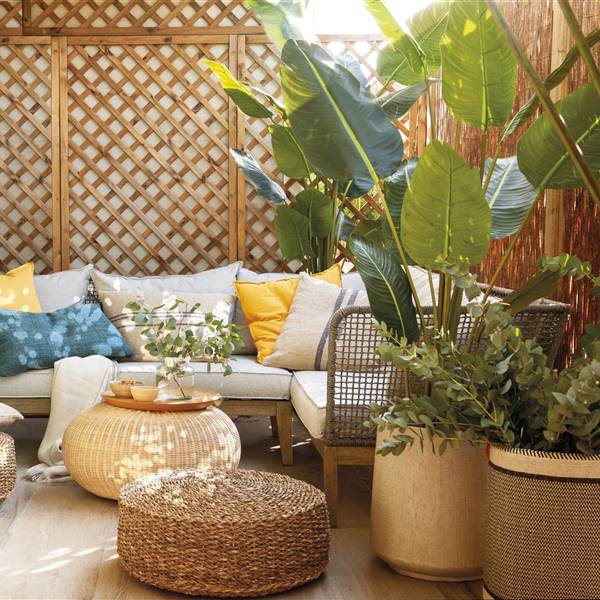Las mejores ideas para colocar y organizar las plantas en tu terraza