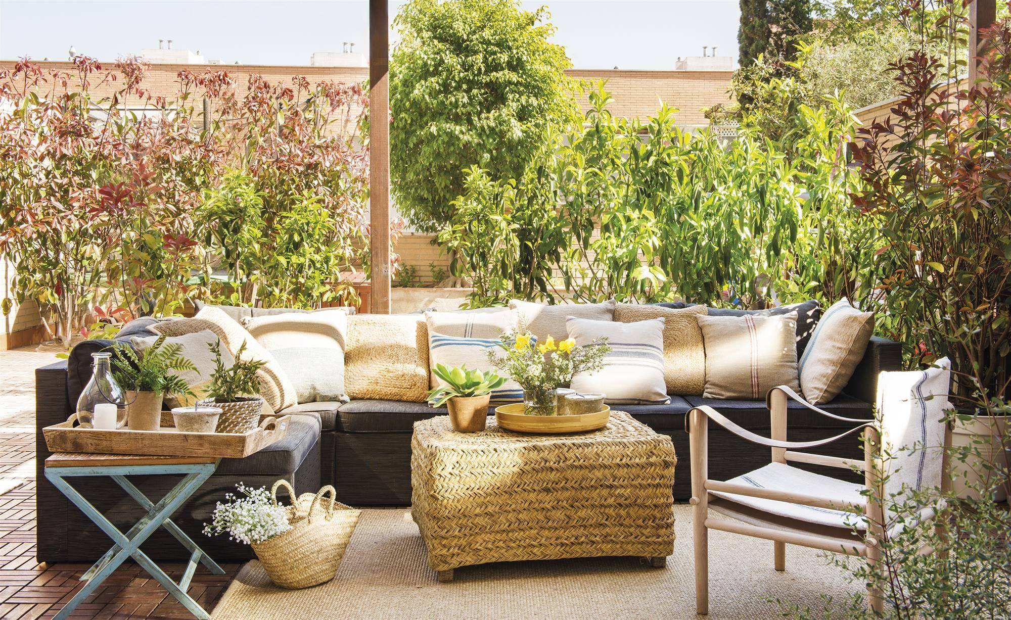 terraza con sofá y plantas
