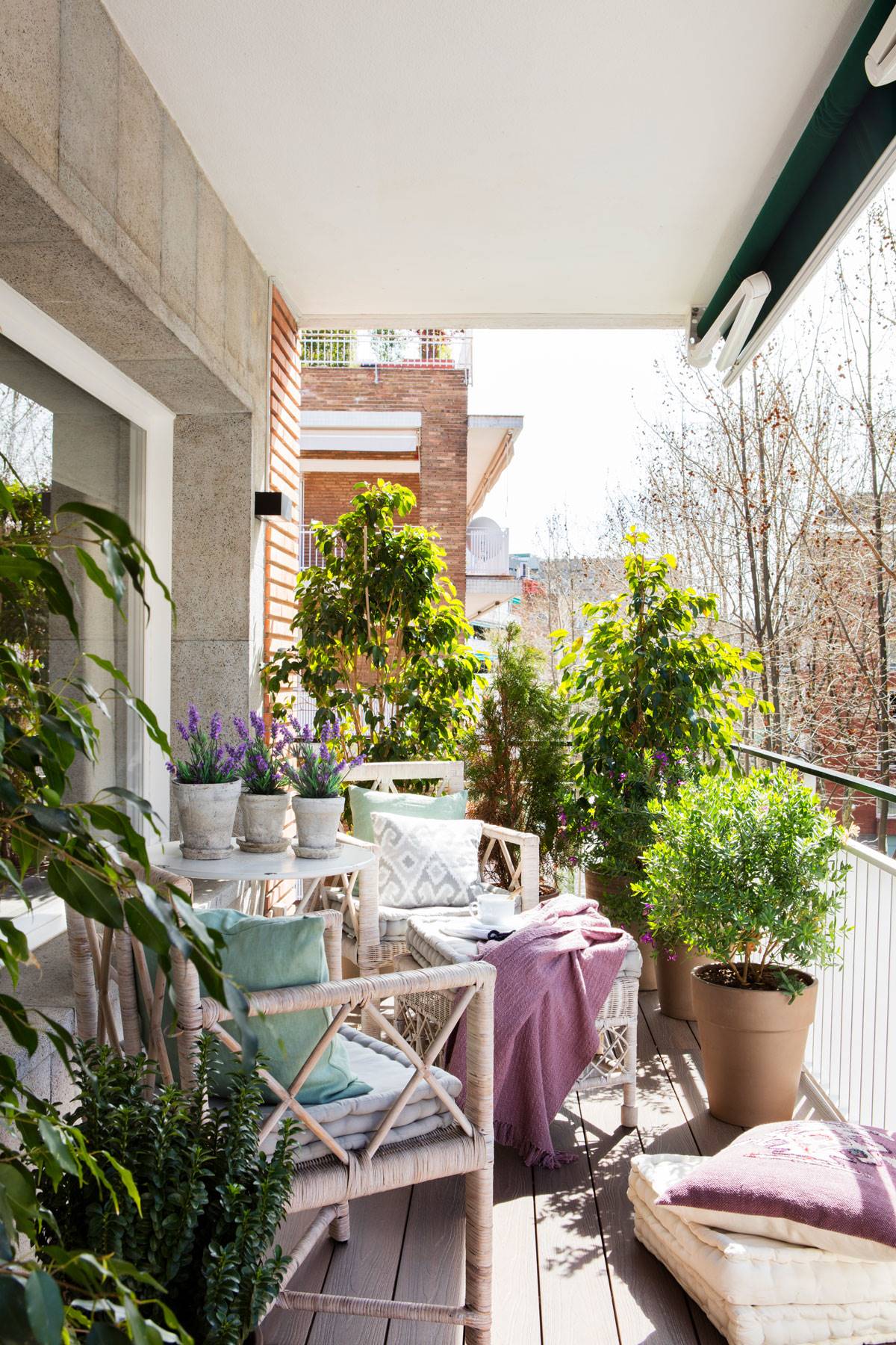 Terraza pequeña y alargada decorada con plantas 00497676 O