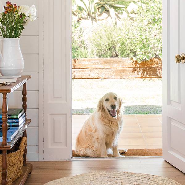 Casetas para perros: las mejores y más bonitas de madera para tu mascota