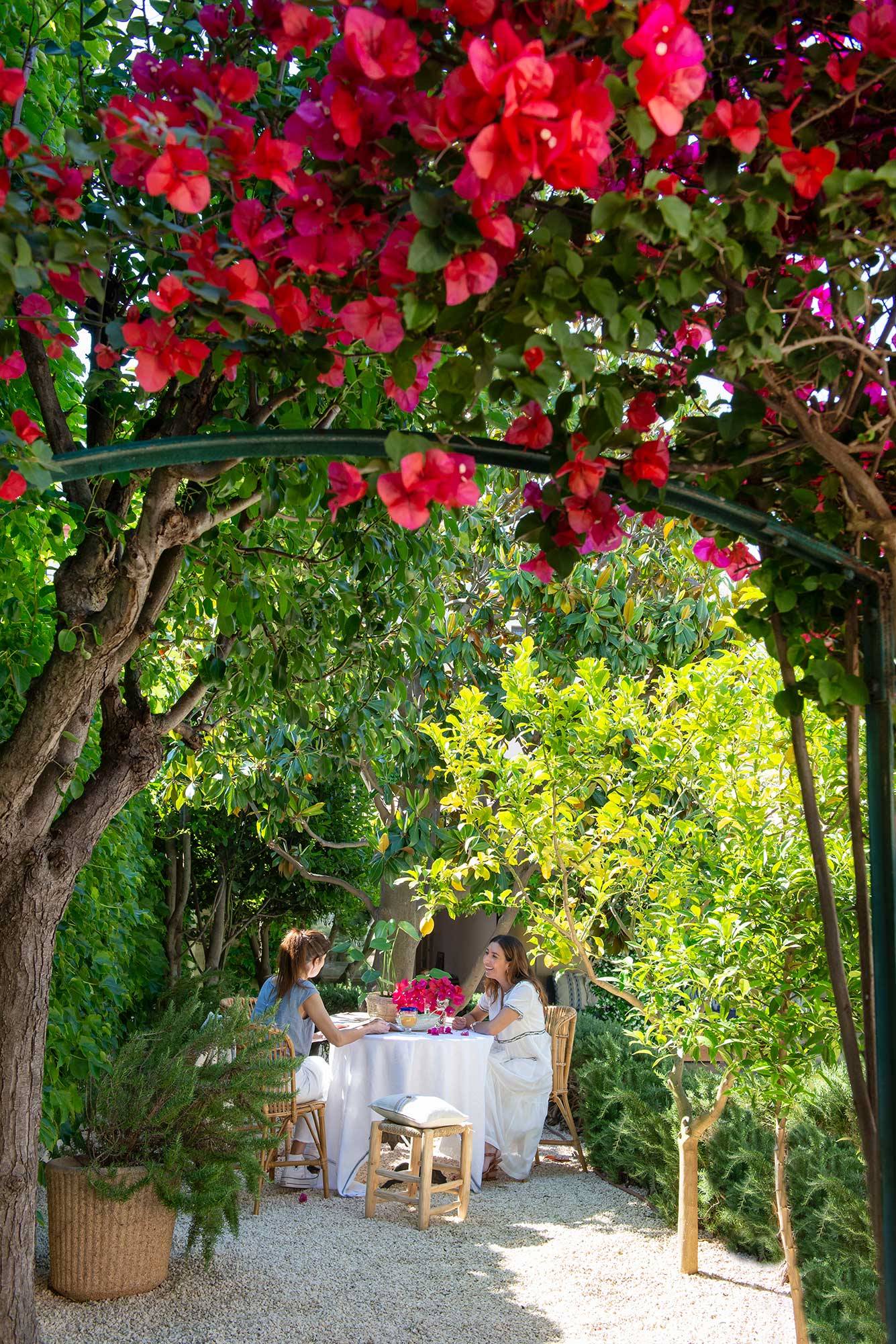 Jardín con mesita, dos mujeres y un arco de buganvilla 00528814 O