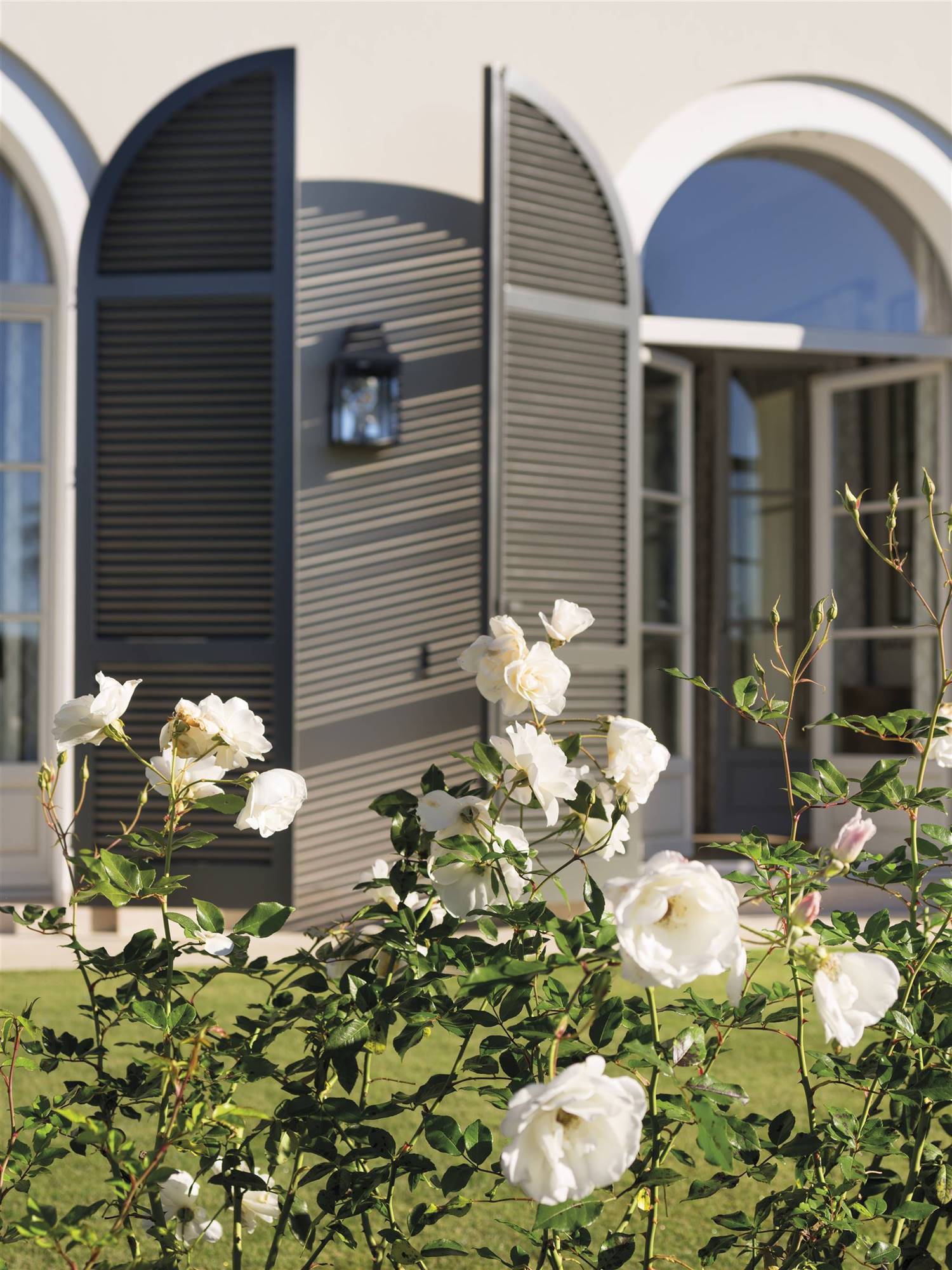 Rosales con flores blancas en el jardín de una casa con arcos blancos y grandes ventanales