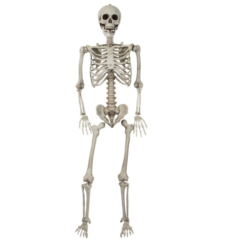 esqueleto decorativo miedo