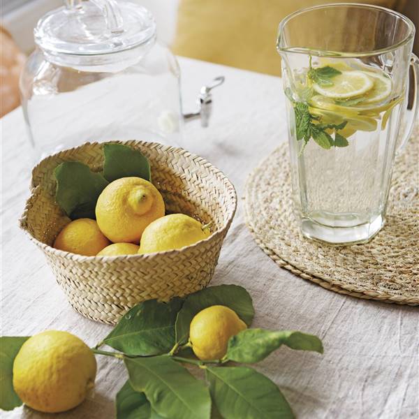 Plantas de interior: ¿cómo plantar limones en una taza para perfumar y decorar tu habitación?