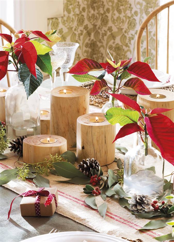 Poinsettia y otras flores y plantas para decorar en Navidad de Colvin