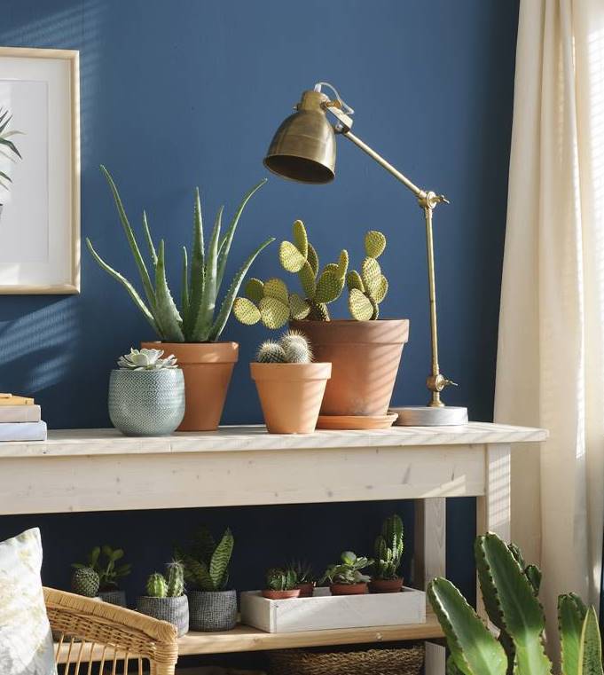 color pantone classic blue pared azul con plantas 00451389 O