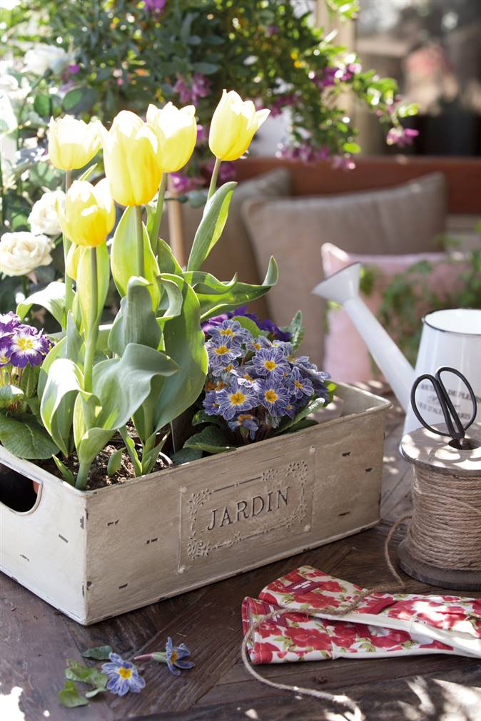 Planta tus bulbos de primavera y disfruta de sus flores en verano