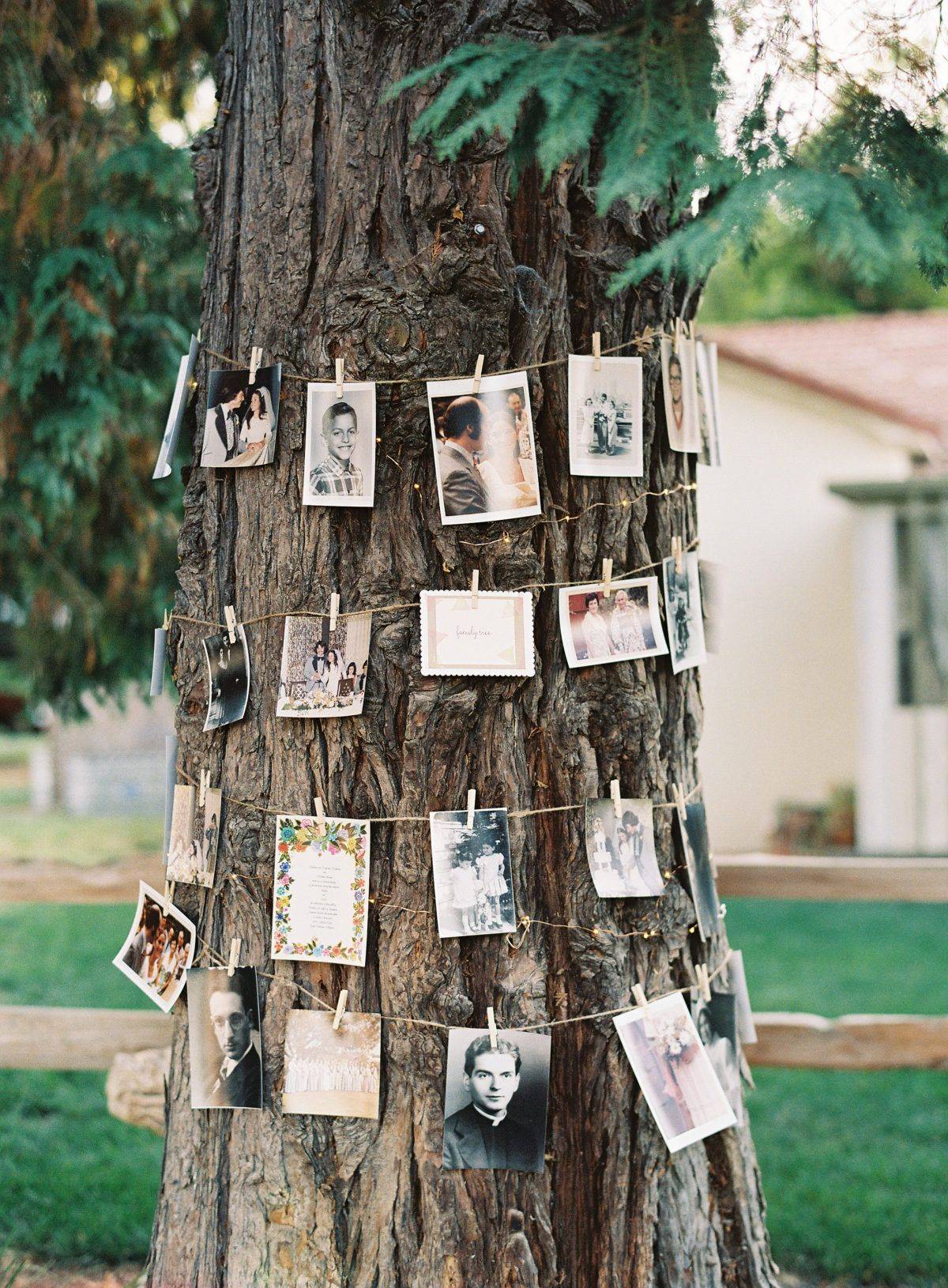 Decoración de árbol con fotos en boda al aire libre, Pinterest.