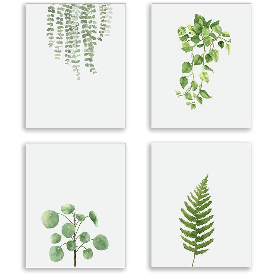 Set de láminas decorativas botánicas de Amazon.
