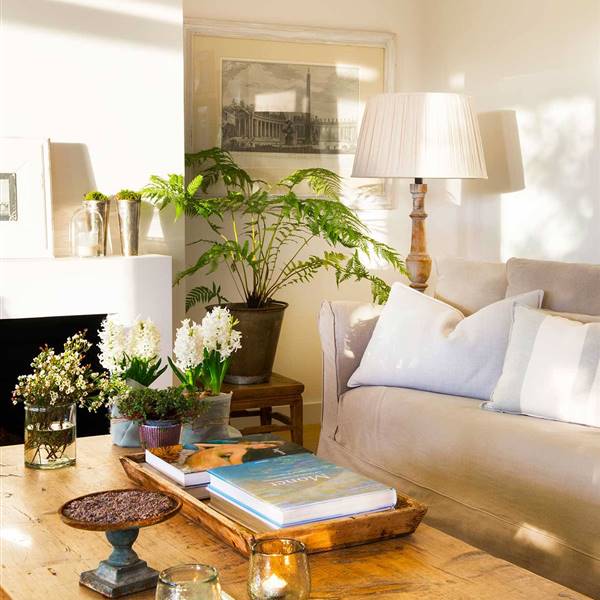5 casas El Mueble con muchas plantas: inspírate en sus ideas para sumar frescor y bienestar